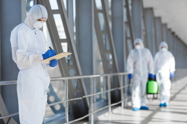 Best Mold Damage Restoration  in Lake Havasu City, AZ