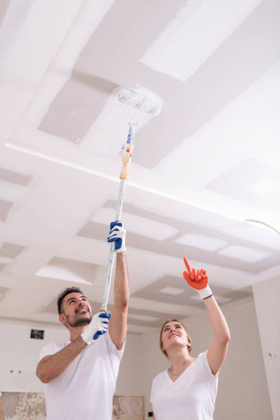 Best Indoor Air Quality Assessment  in Lake Havasu City, AZ