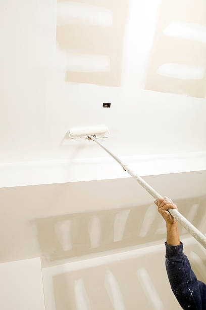 Best Mold Odor Removal Services  in Lake Havasu City, AZ