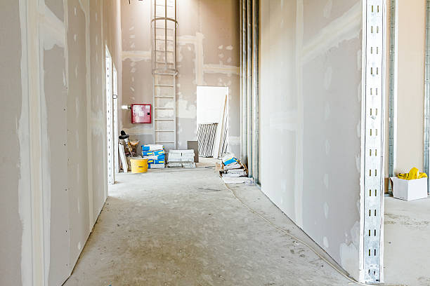 Best Environmental Consulting for Mold Prevention  in Lake Havasu City, AZ